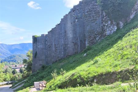 Odstranjena vegetacija ob Z peti viadukta